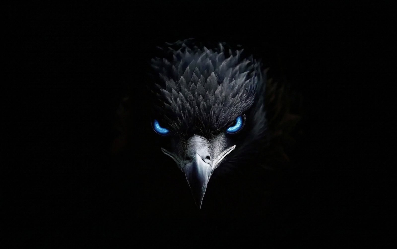 بريلايت السعودية